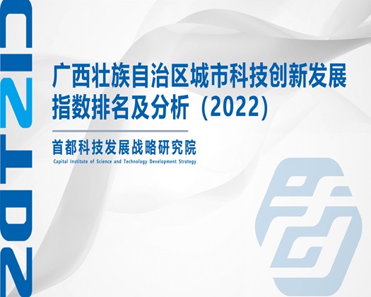 尻骚屄【成果发布】广西壮族自治区城市科技创新发展指数排名及分析（2022）